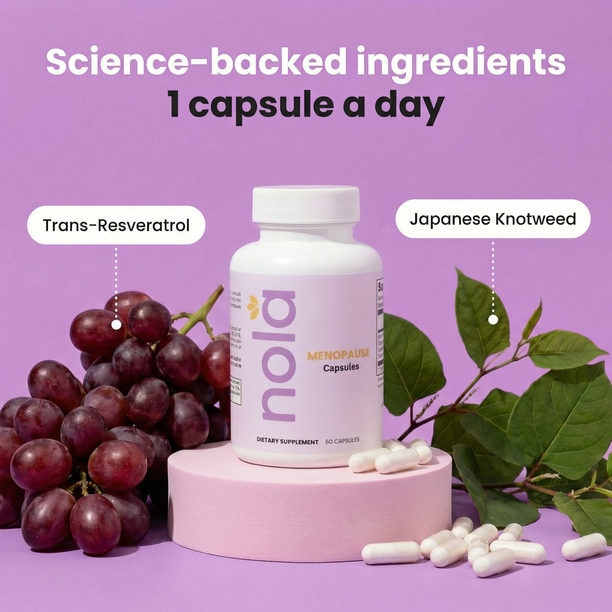 Ingredients scene