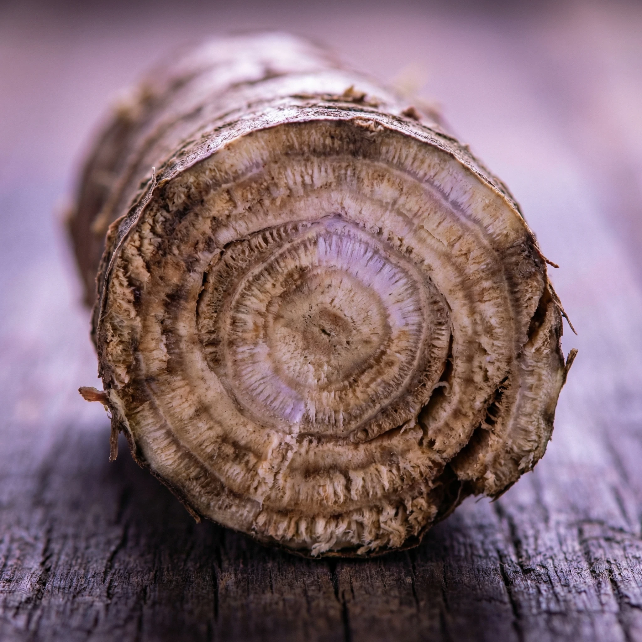 Healthy Inflammatory Response